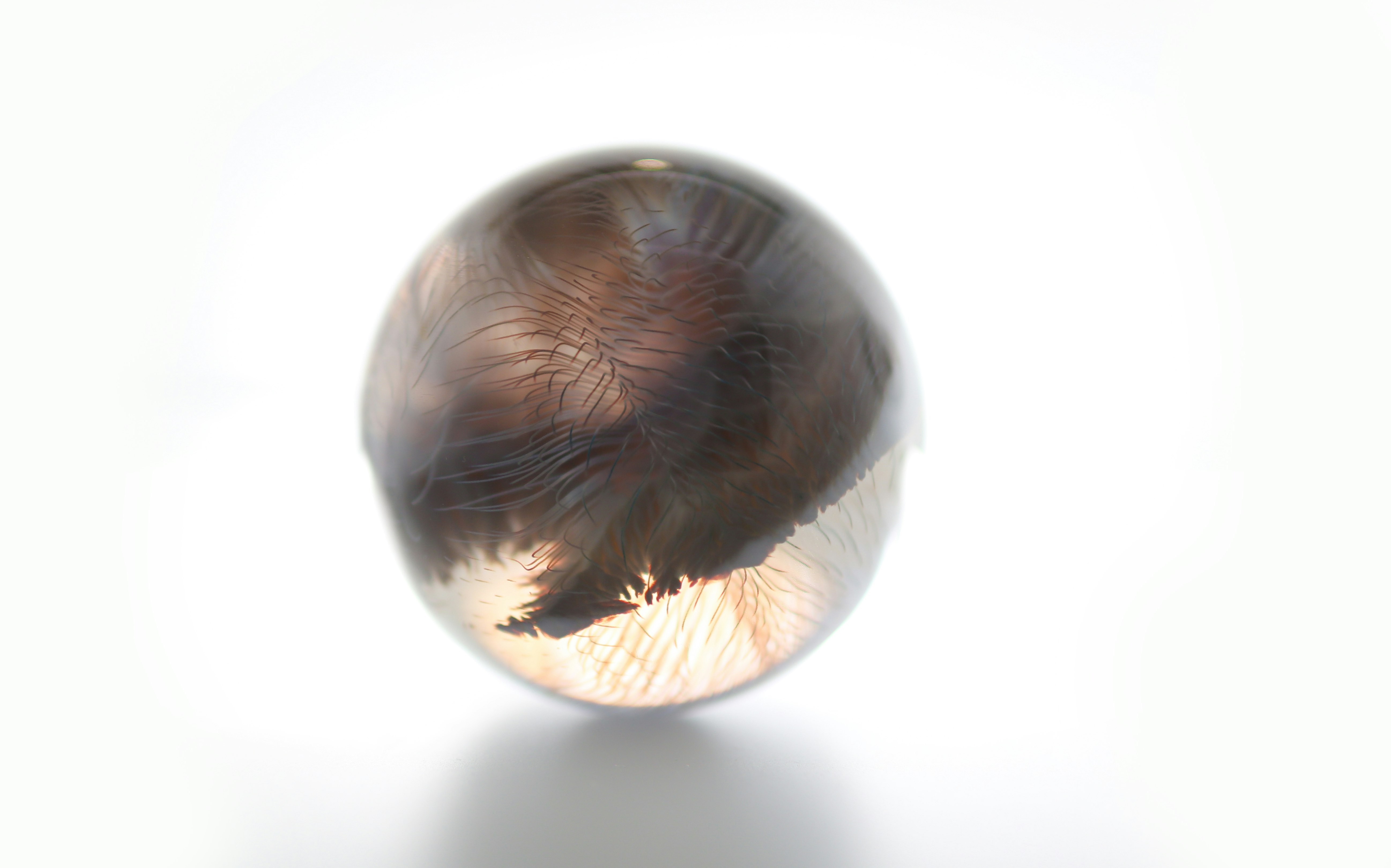 Sphere 1 3