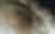 Silkii Silkworms Spinning 720p