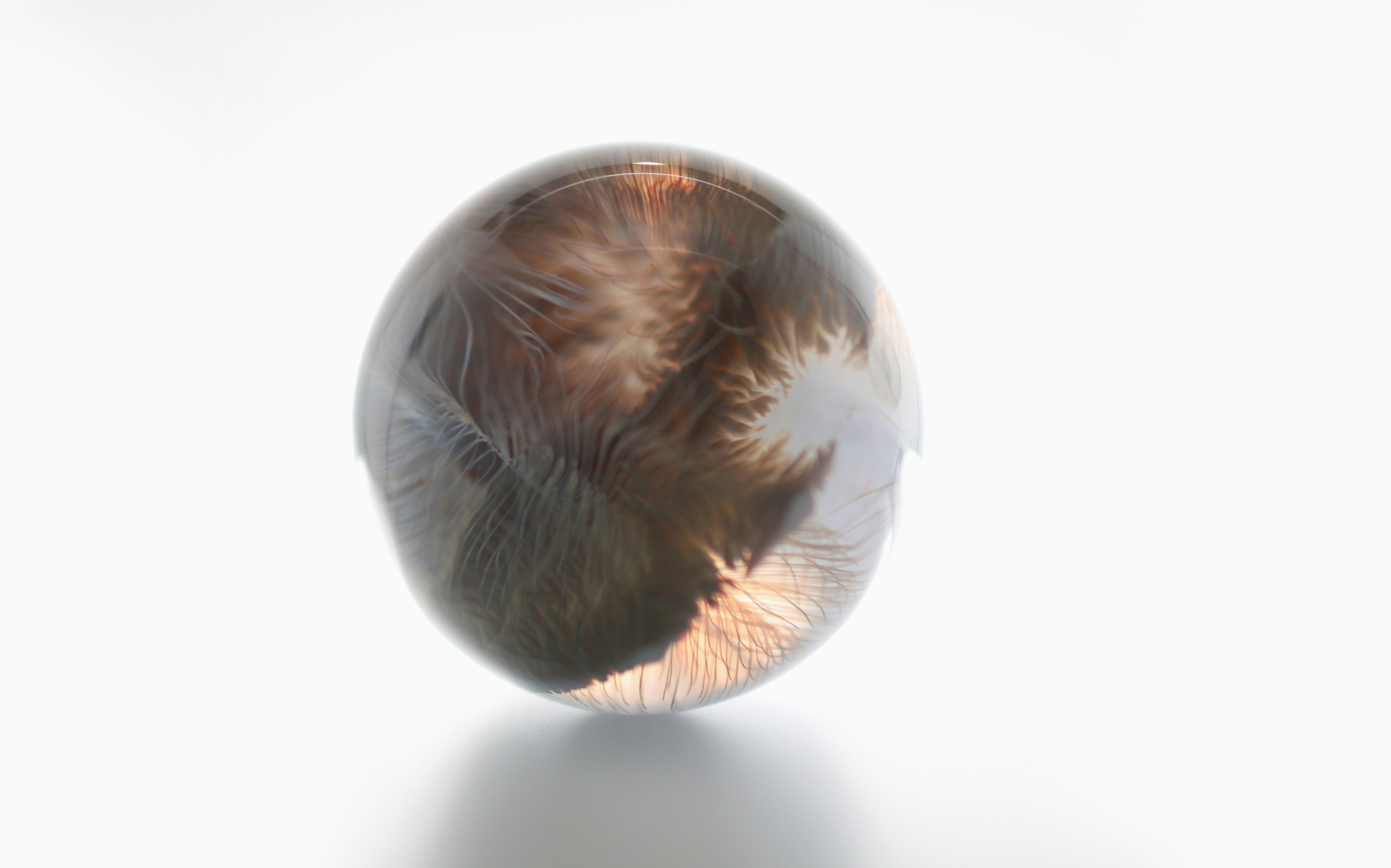 Sphere 1 4 D