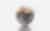 Vespersiii Ddmm Orb 01 Gray